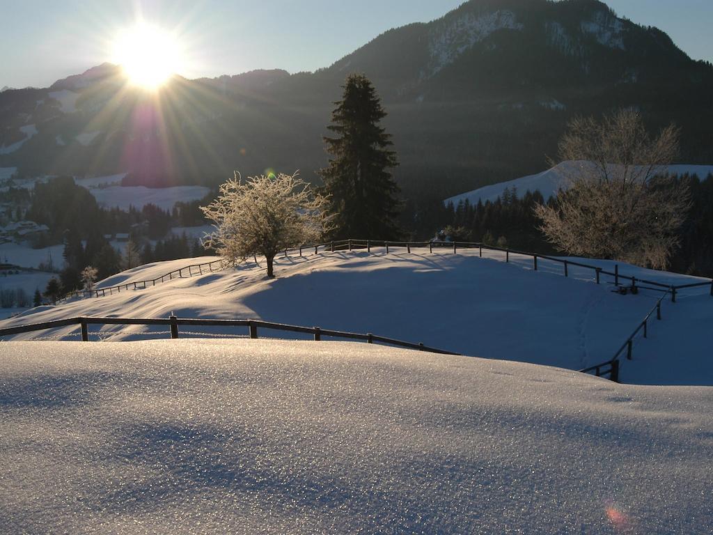 Apartment Ball - Kometterhof Hermagor-Pressegger See